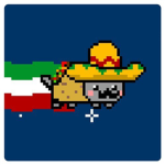 TT TACO TEAM