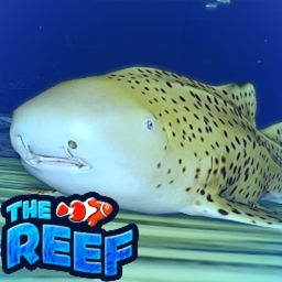 Before game thumbnail