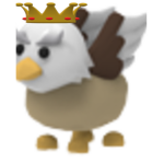 Griffins RULE