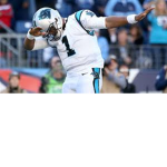 Team Carolina Panthers
