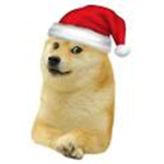 doge MIN PLAY