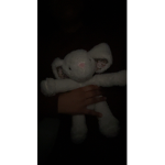Teddy supremacy