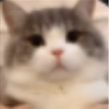 私の小さな郊外