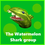 THE ULTIMATE WATERMELON SHARK FAN CLUB
