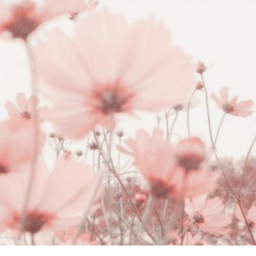 🌸