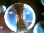the bubble sqaud