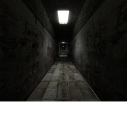 The Corridor