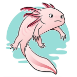Axolotl Clothing’s