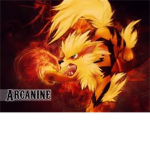 Arcanine's Of The Fire Clan