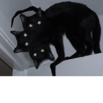haunted harmony