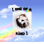 [one of a kind]