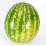 Chill Watermelon Cult