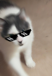 βellα 4 eνer