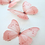 Butterfly Blossoms
