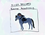 Swift Strides Equine Academy