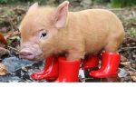 REAL Peppa pig
