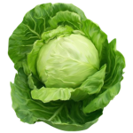 Cult Of Cabbage