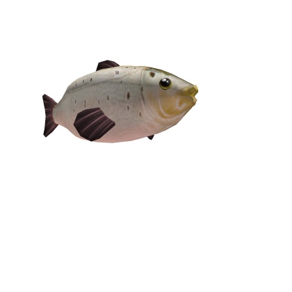 It's a fish