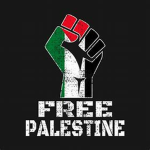 Our palestine discussions