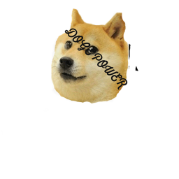 Doge fire's Place Number: 1