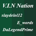 V.I.N Nation