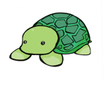 Official Turtle Group