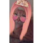 CATS123.