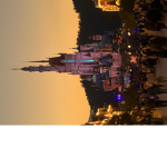 Who likes PopCat