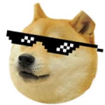 The Team Of Doge