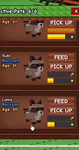 FREE RACOON
