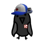 Admin Bird