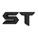 Sanctum | R-sports Team & Community