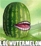 LOLWUTERMELONZ