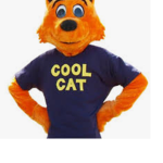 Cat gang for all