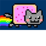 The Nyan cat lovers <3