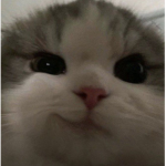 ᖇYᒪ33