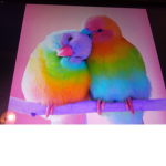 rainbow of birds and girls