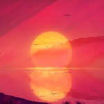 SunFlash