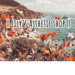 Lily's Asthetic shop!