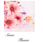 Snow Flower