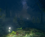 Darkroot Garden