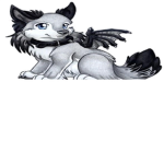 Dylan24's wolf group