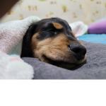 니가 귀여워~