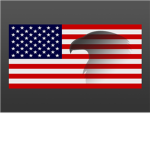 We love America