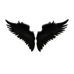 Dark Wings