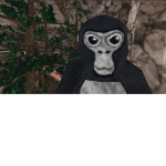 The memer group 3000