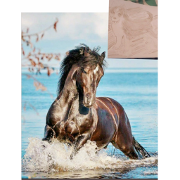 Puppy equestrian rescue and stables