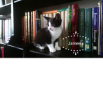 Jam IS DA BEST ( Jam is ma cat) Jam is a nickname.