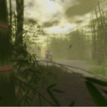 Mysterious Bamboo Forest