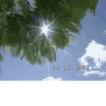 Sukie’s Stars